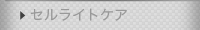 �Z�����C�g�P�A